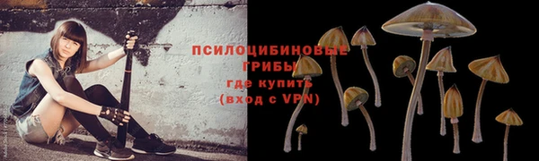 МДМА Михайловка