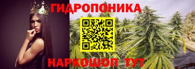 гашик Балахна