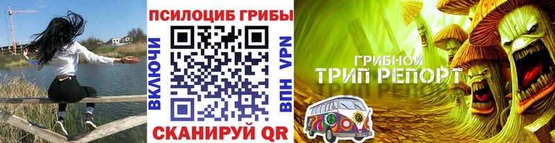 Галлюциногенные грибы Psilocybine cubensis  blacksprut ССЫЛКА  Назрань 