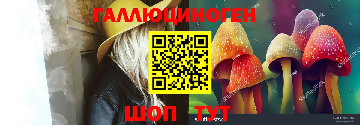 где купить наркотик  Вход с VPN  Назрань  Псилоцибиновые грибы Psilocybine cubensis 